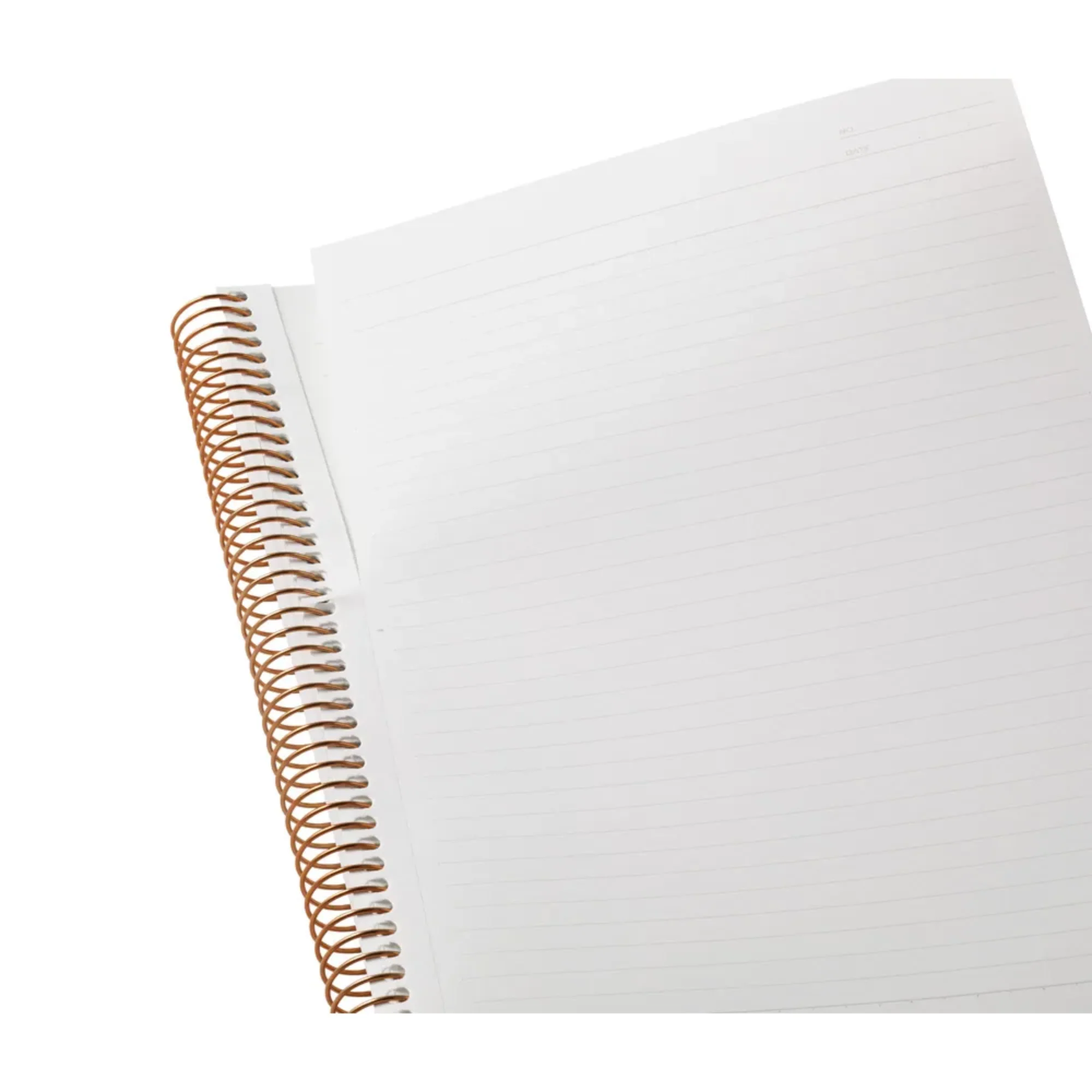 Maruman A5 Spiral Note BASIC 6.5mm 150 Sheet - Image 3