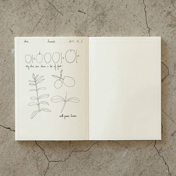 MD Notebook Journal A5 - Frame - Image 2