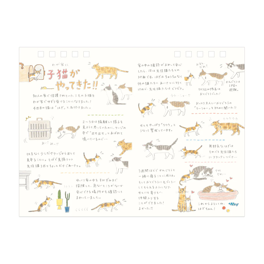 Midori Calendar Ring 2026 (M) - Cat - Image 5
