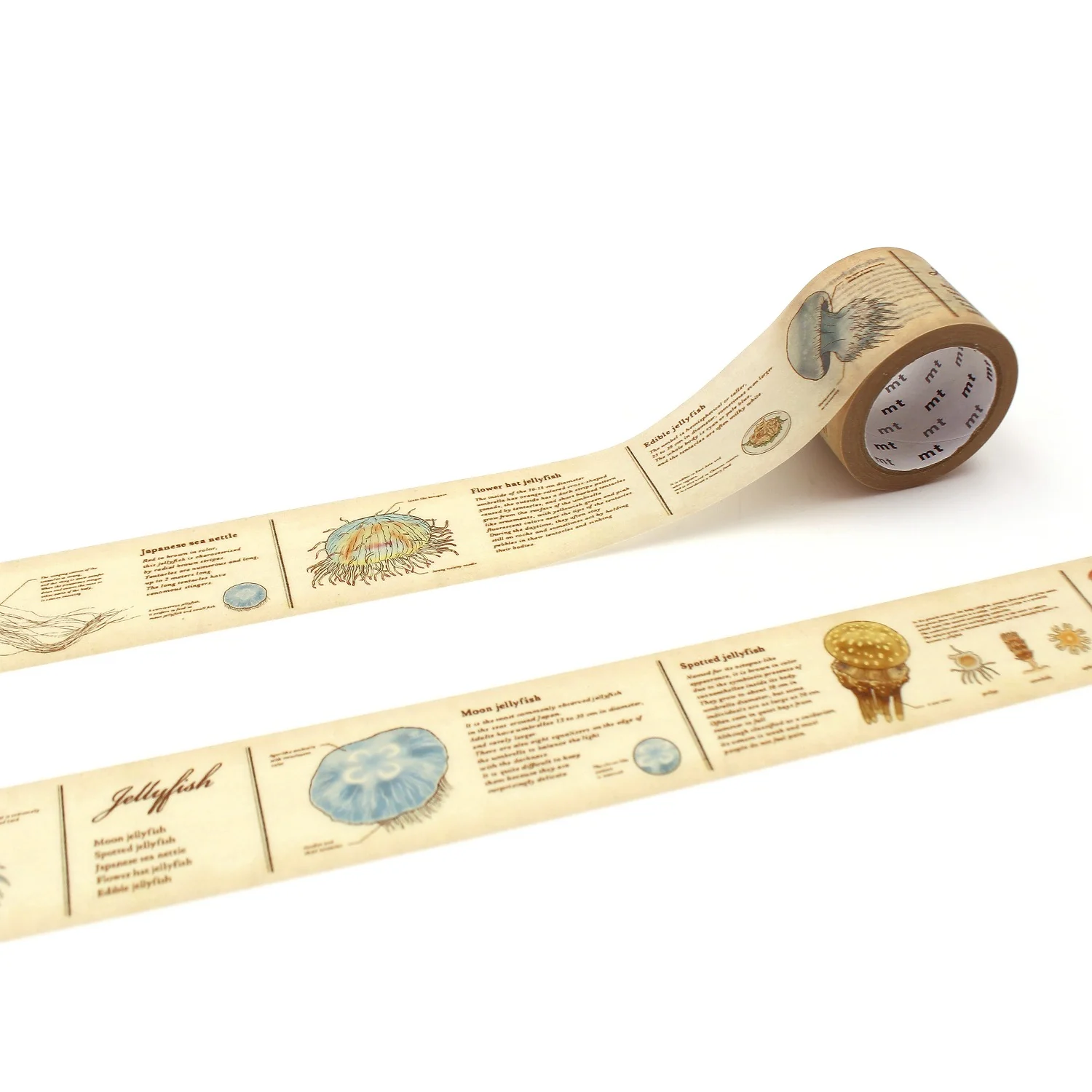 MT EX Washi Tape - Encyclopedia Jellyfish
