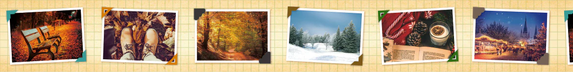 MT EX Washi Tape - Memory Album - Image 3