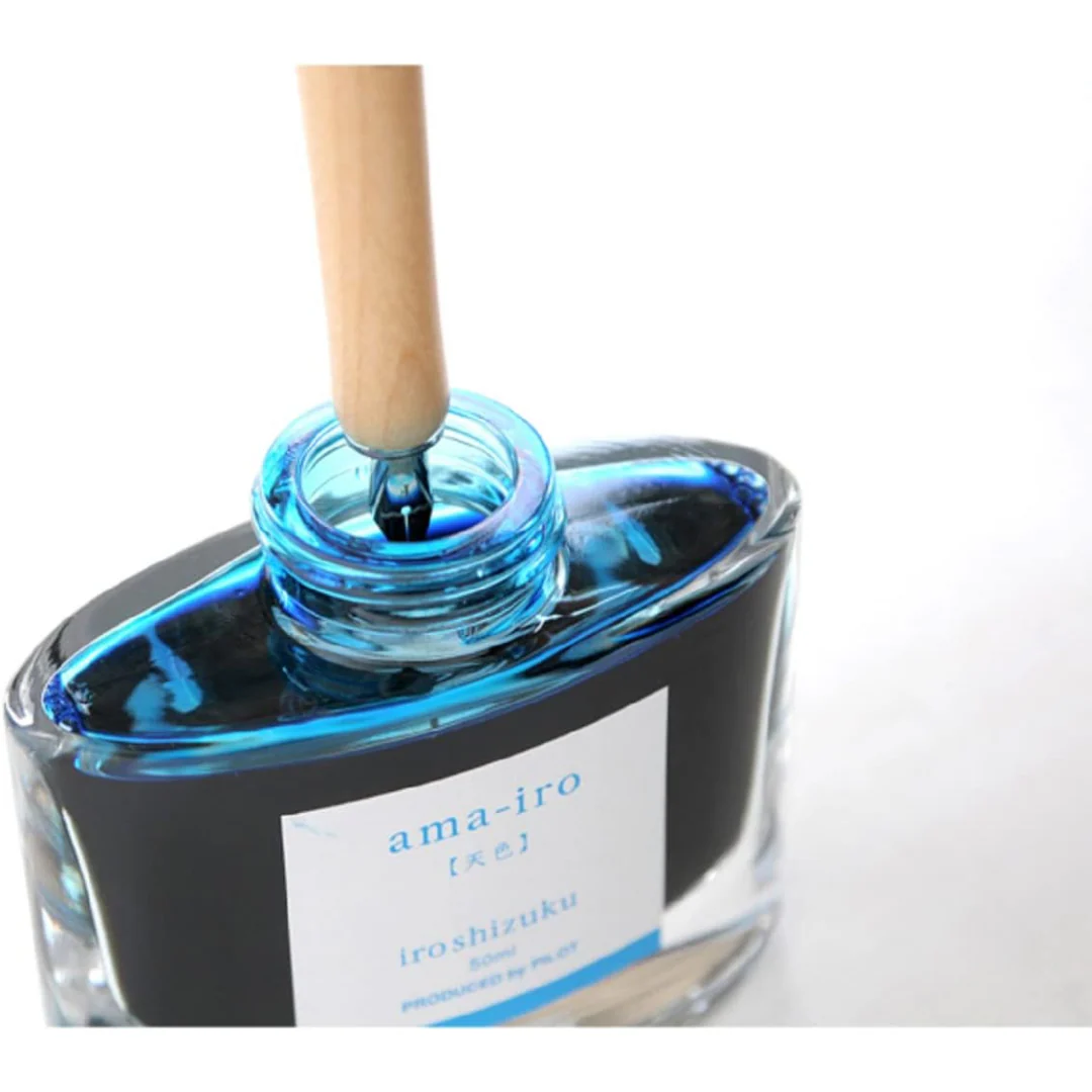 Pilot Iro-Utsushi Dip Fountain Pen - BK Wood - Image 6